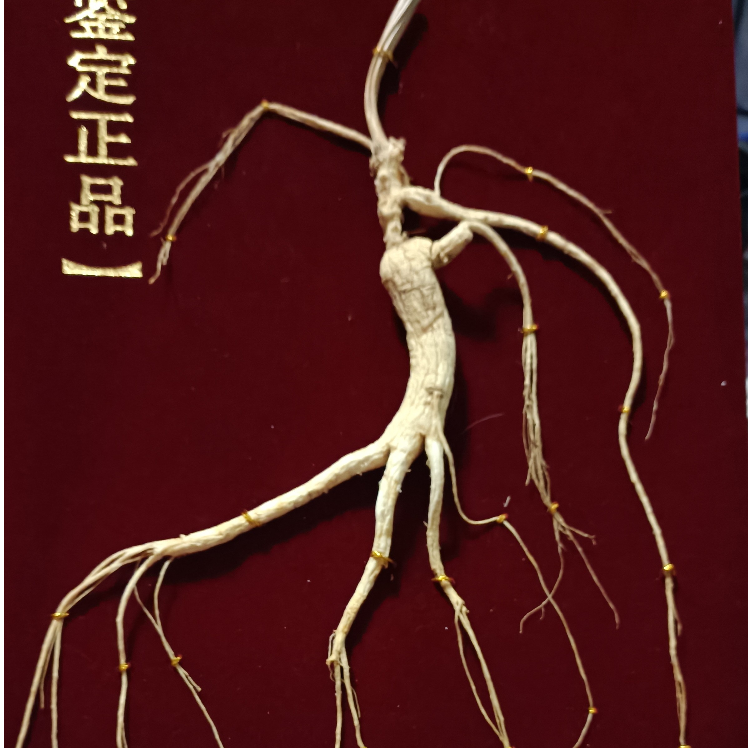 高年份长白山人参干，送礼，泡水，煲汤，年份问客服