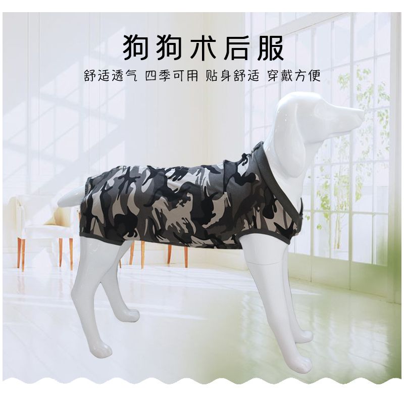 新品狗狗术后防舔衣绝育服断奶服装保护伤口护肚宠物衣服