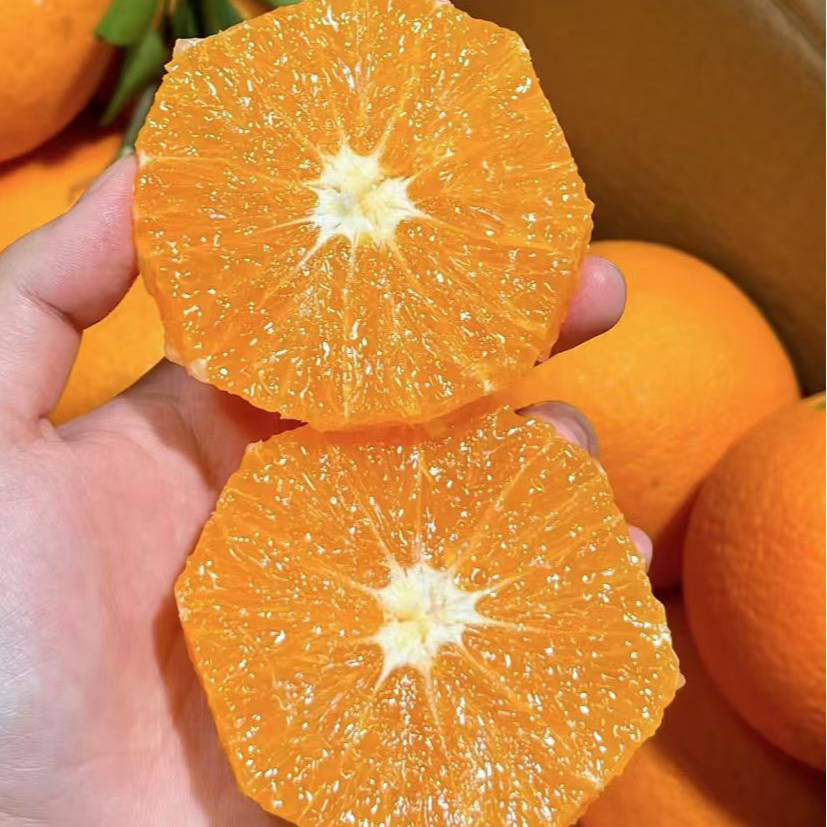 【泸定果品】爱媛果冻橙75mm起一整箱10斤