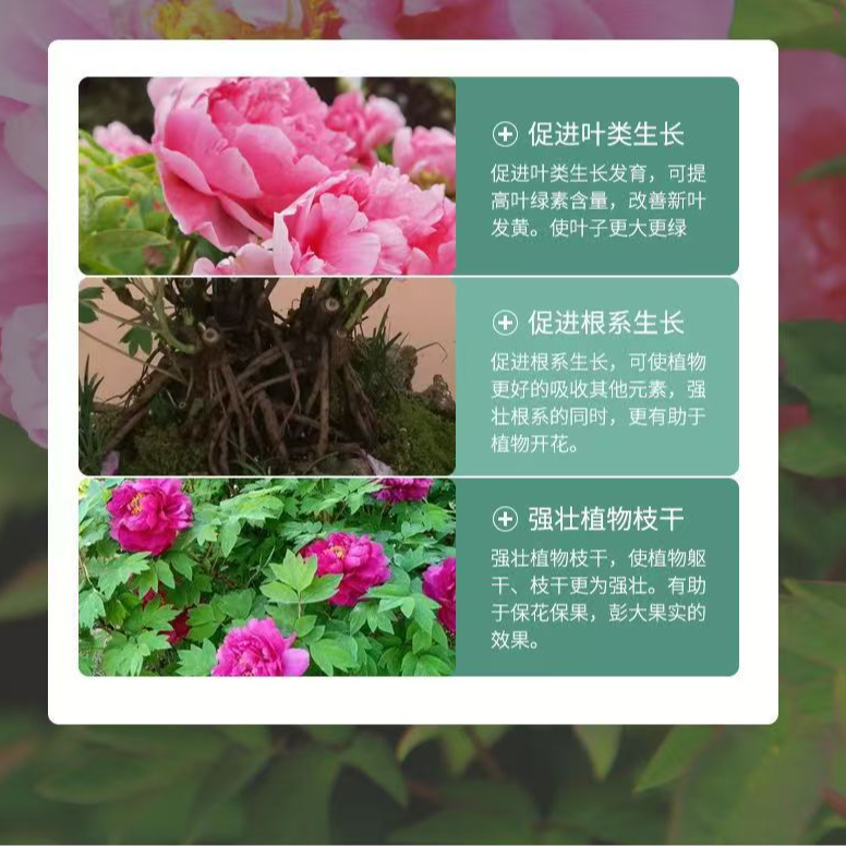 （进口泥炭土）牡丹芍药鲜花专用有机肥肥