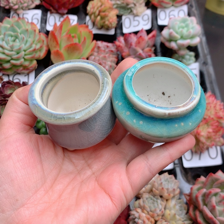 好看的杯子一组图片