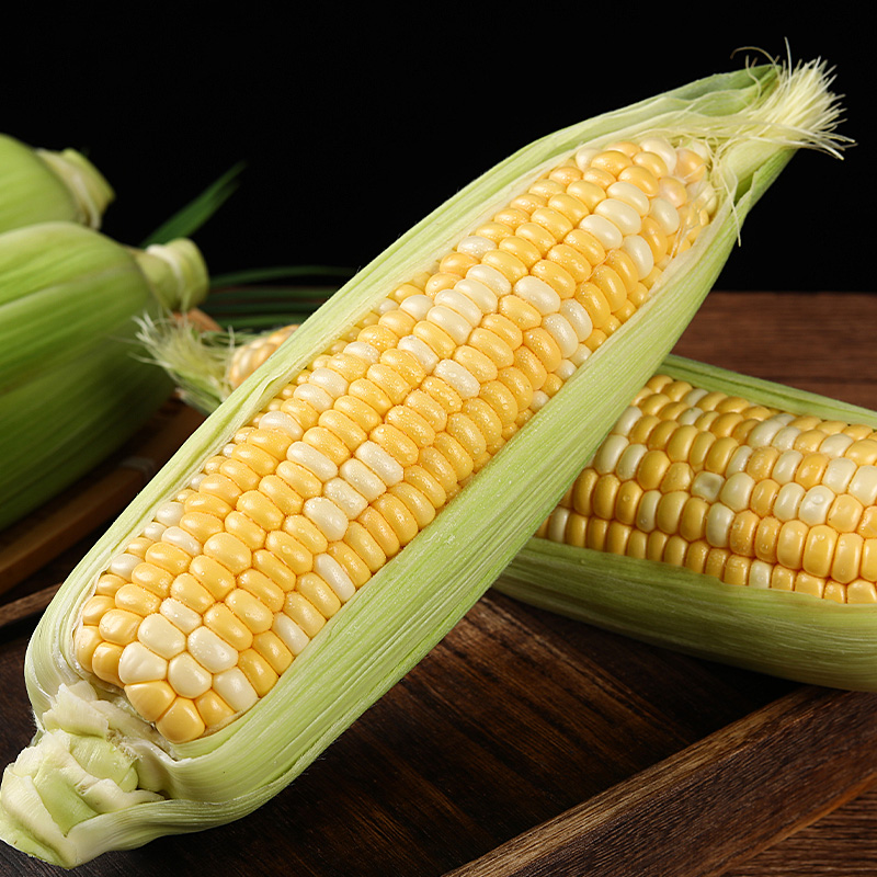 云南金银水果玉米
