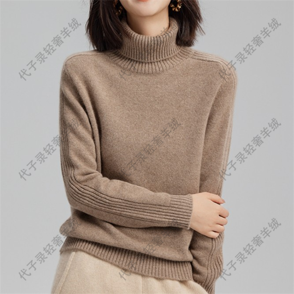 Daizilu/代子录【减负之旅】纯山羊绒秋冬加厚保暖针织高翻领毛衣4