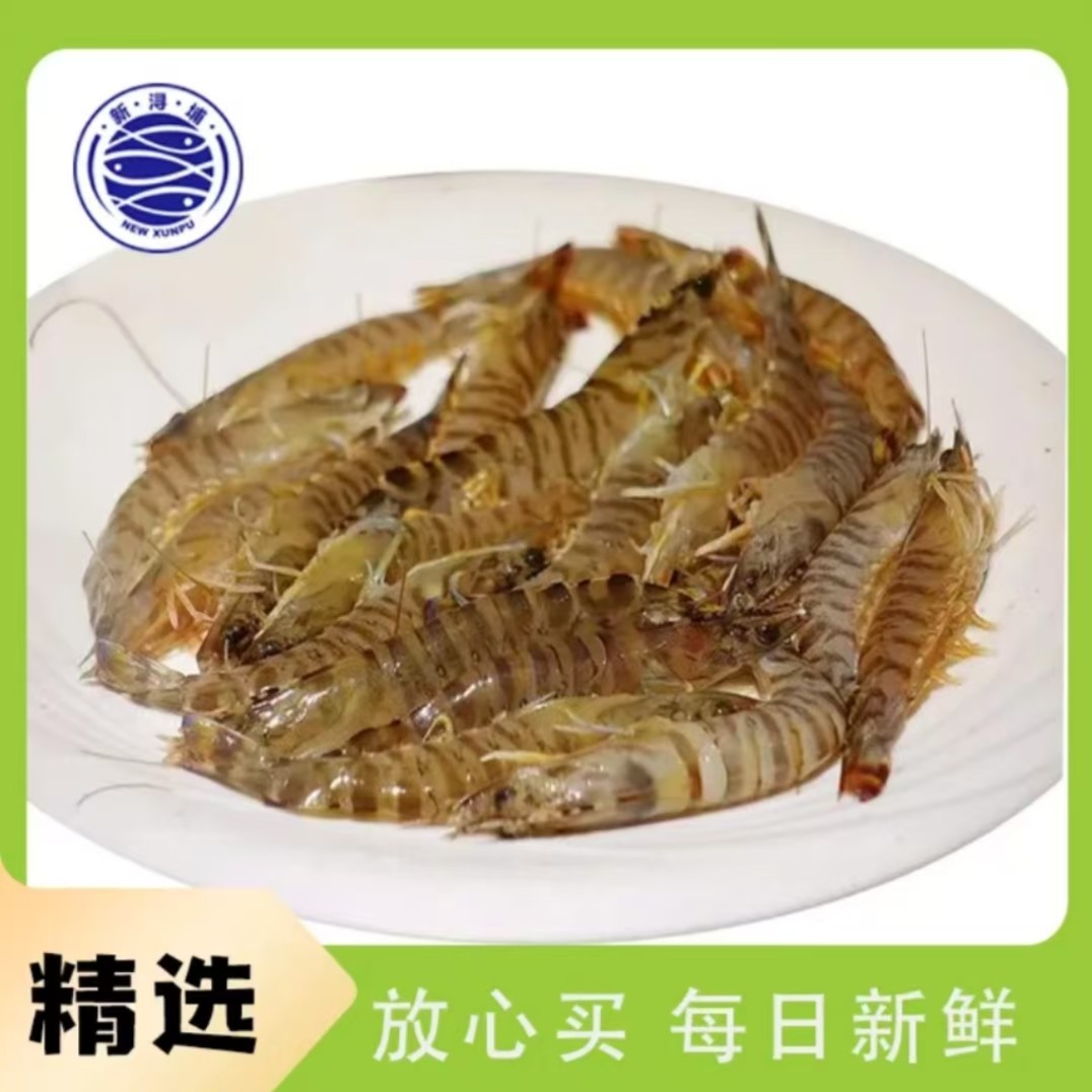 【活虾】野生中九节虾 500g±50g（约40-60只）