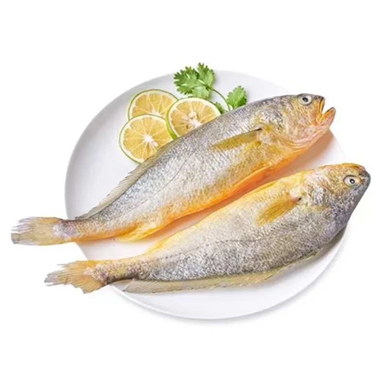 【冰鲜】小黄花鱼 约200-250g /条