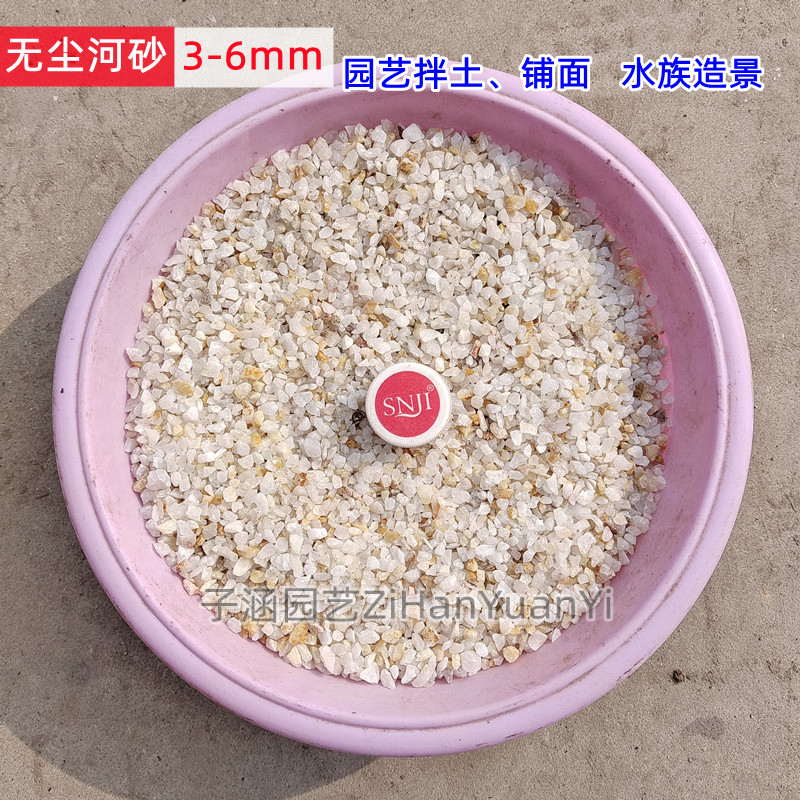 园艺无粉粗河砂君子兰多肉拌土铺面护茎水陆缸造景3-6mm5斤包邮