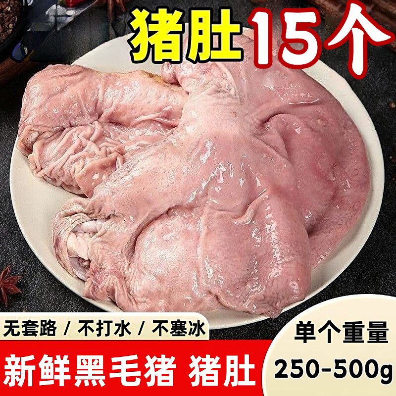 生鲜节【现货直发】猪肚新鲜现杀整个猪肚无注水猪胃散养土猪猪肚子