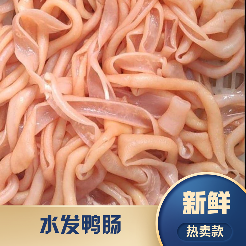 生鲜节【现货直发】新鲜鸭肠生鸭肠批发无油免洗水发鸭肠火锅食材烧
