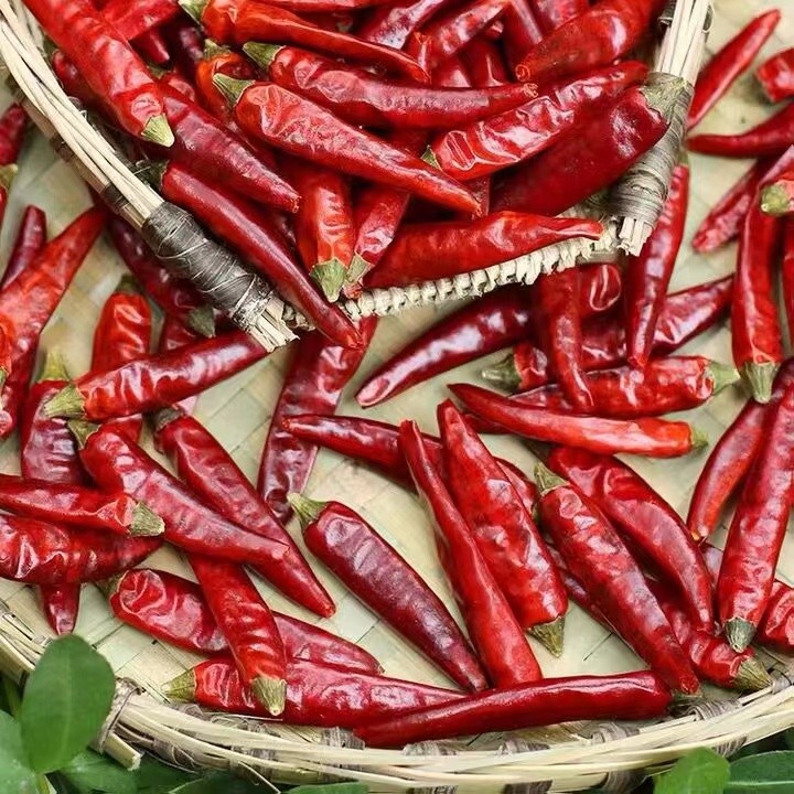 贵州遵义本地干辣椒特香特辣炒菜火锅调味满天星新货红辣椒