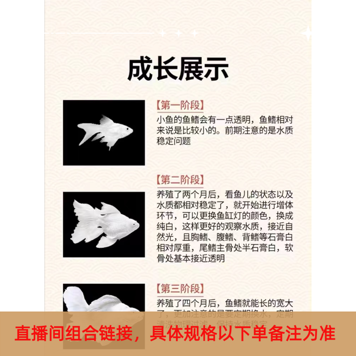 【宏泰渔场】纯种蝴蝶鲤鱼组合链接【5-35厘米以后台备注为准】