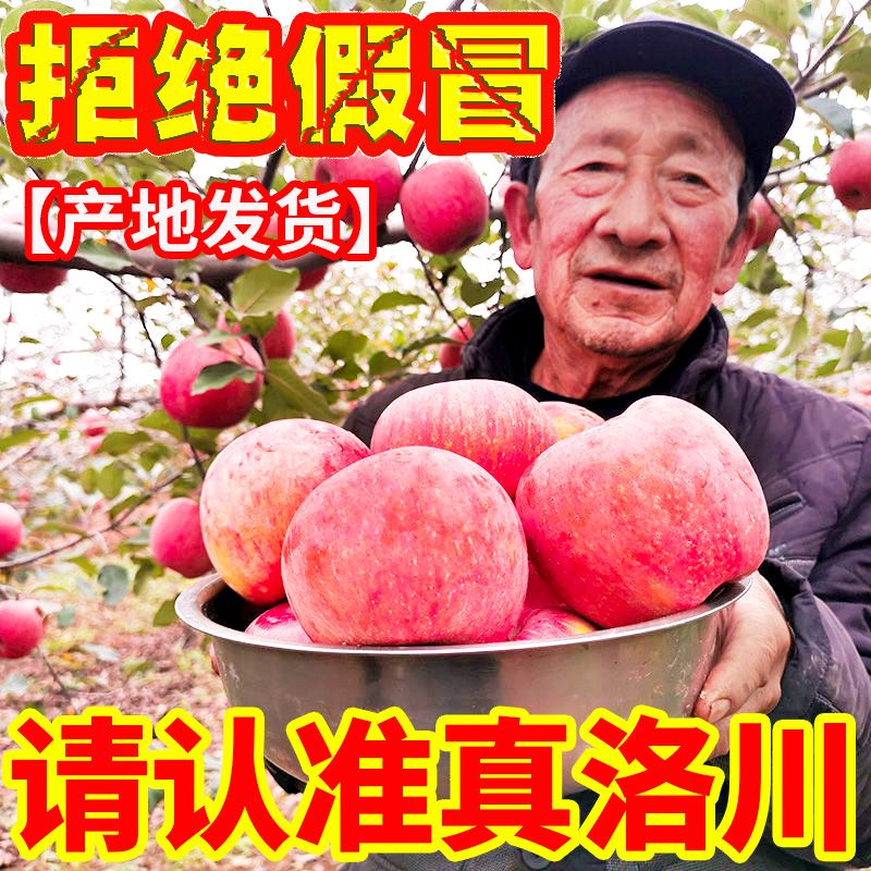 陕西正宗洛川红富士苹果新鲜脆甜礼盒水果一箱2斤5斤10斤现摘现发