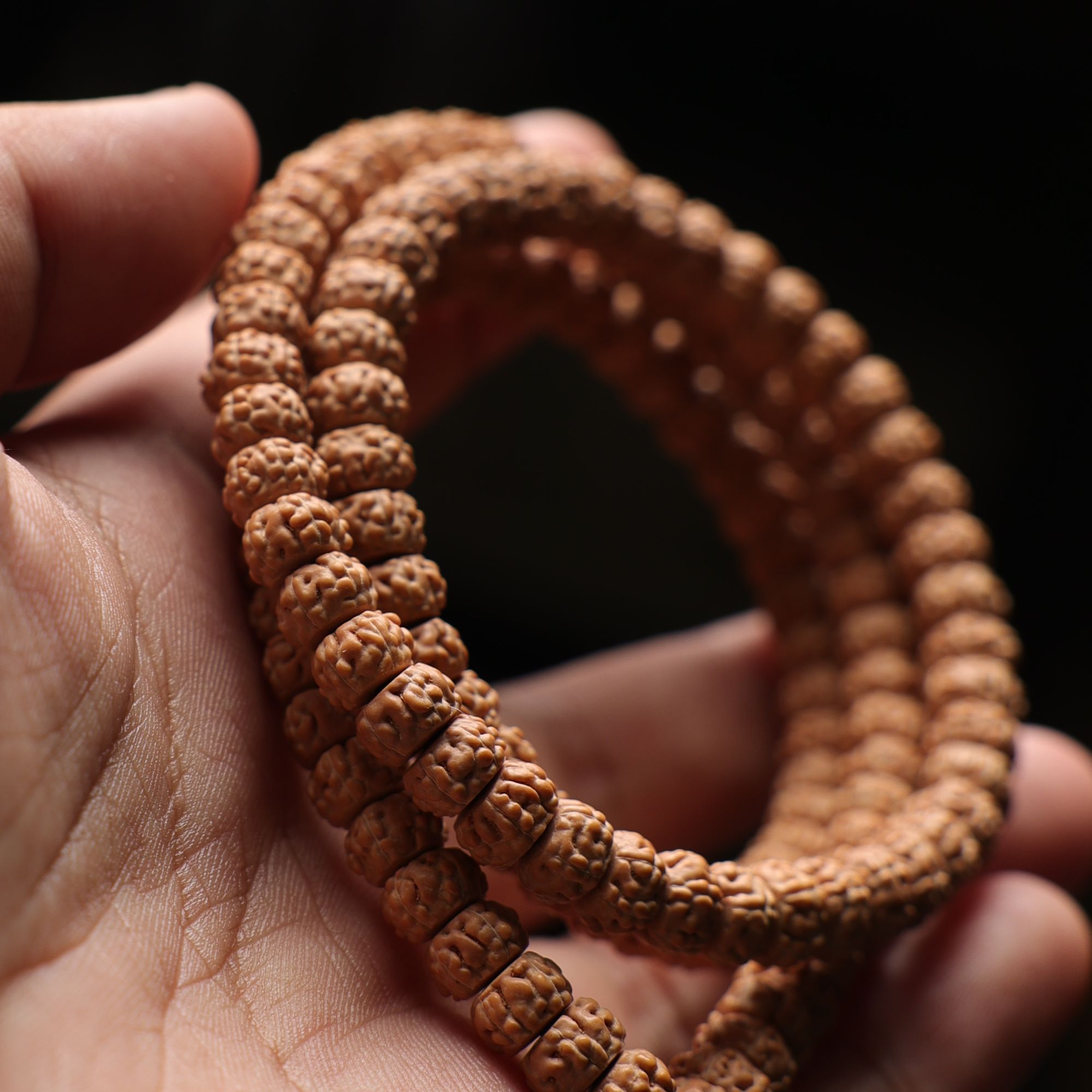 A245金乌-五瓣六瓣龙切金蟾蛤蟆背小金刚菩提尺寸7-8+mm