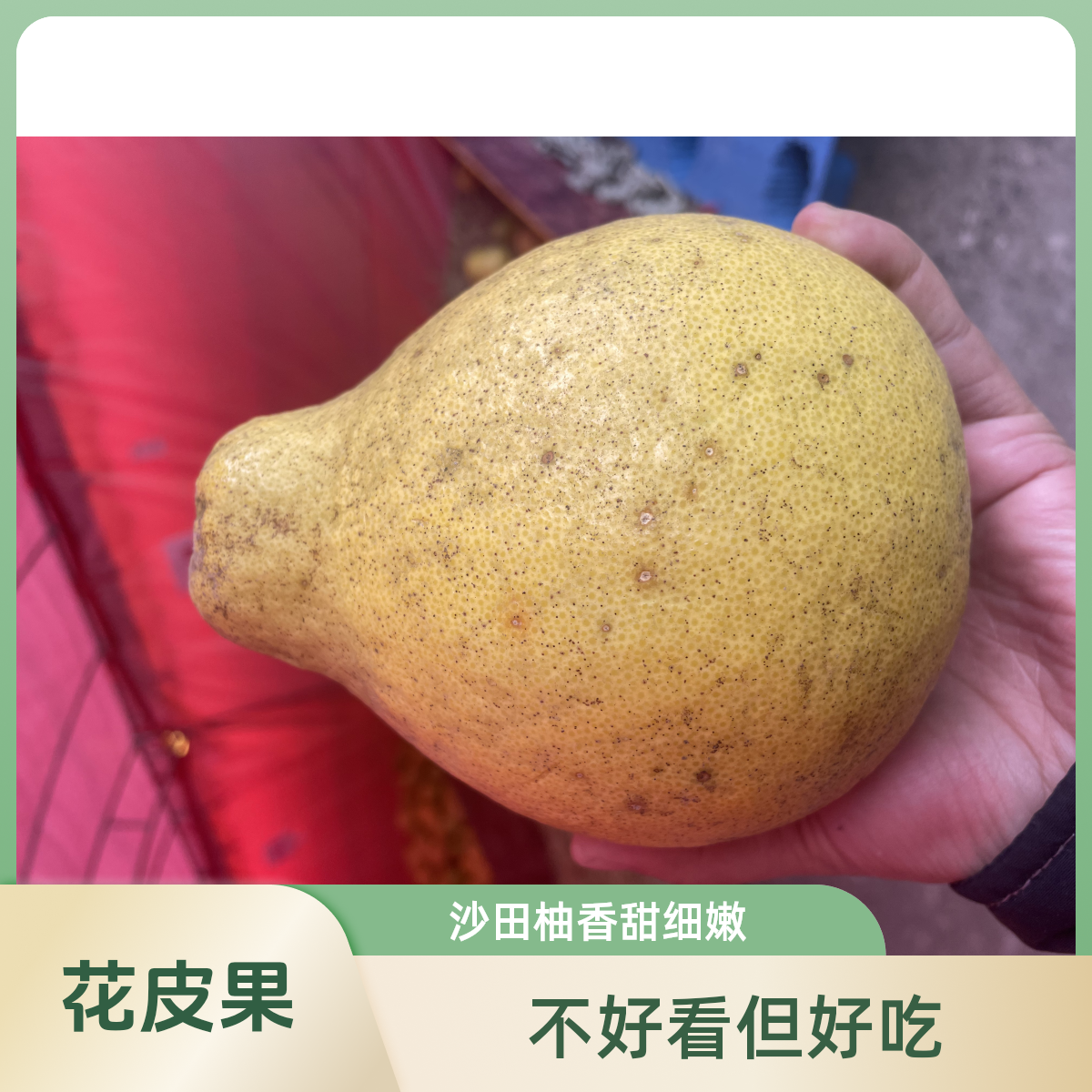 花皮果正宗重庆长寿【邻封沙田柚】纯甜无酸细嫩化渣产地直发
