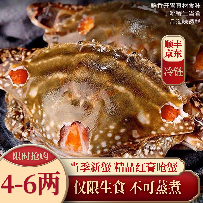 XX 4-6两舟山飞机膏精品红膏呛蟹（仅限生食不可蒸煮）炝梭子蟹腌制