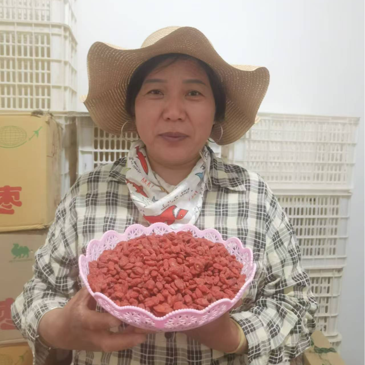 新疆特产头茬红枸杞混合装一斤两斤装，产地直发包邮