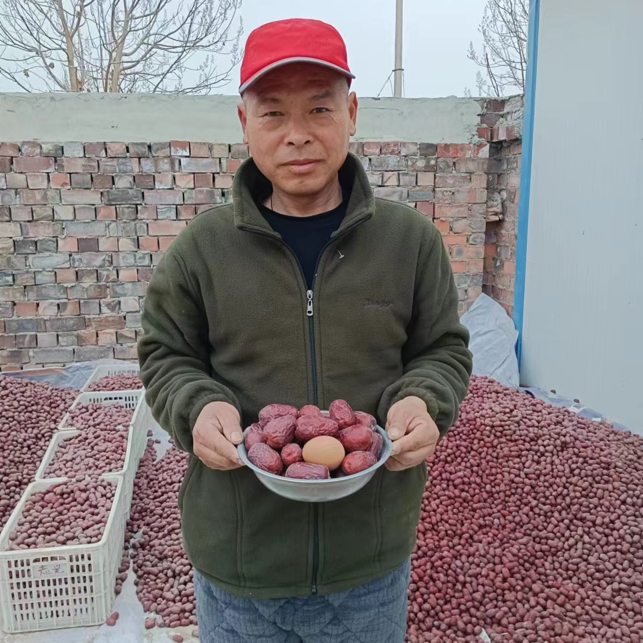 新疆和田大枣枣王鸡蛋果2斤装产地直发包邮