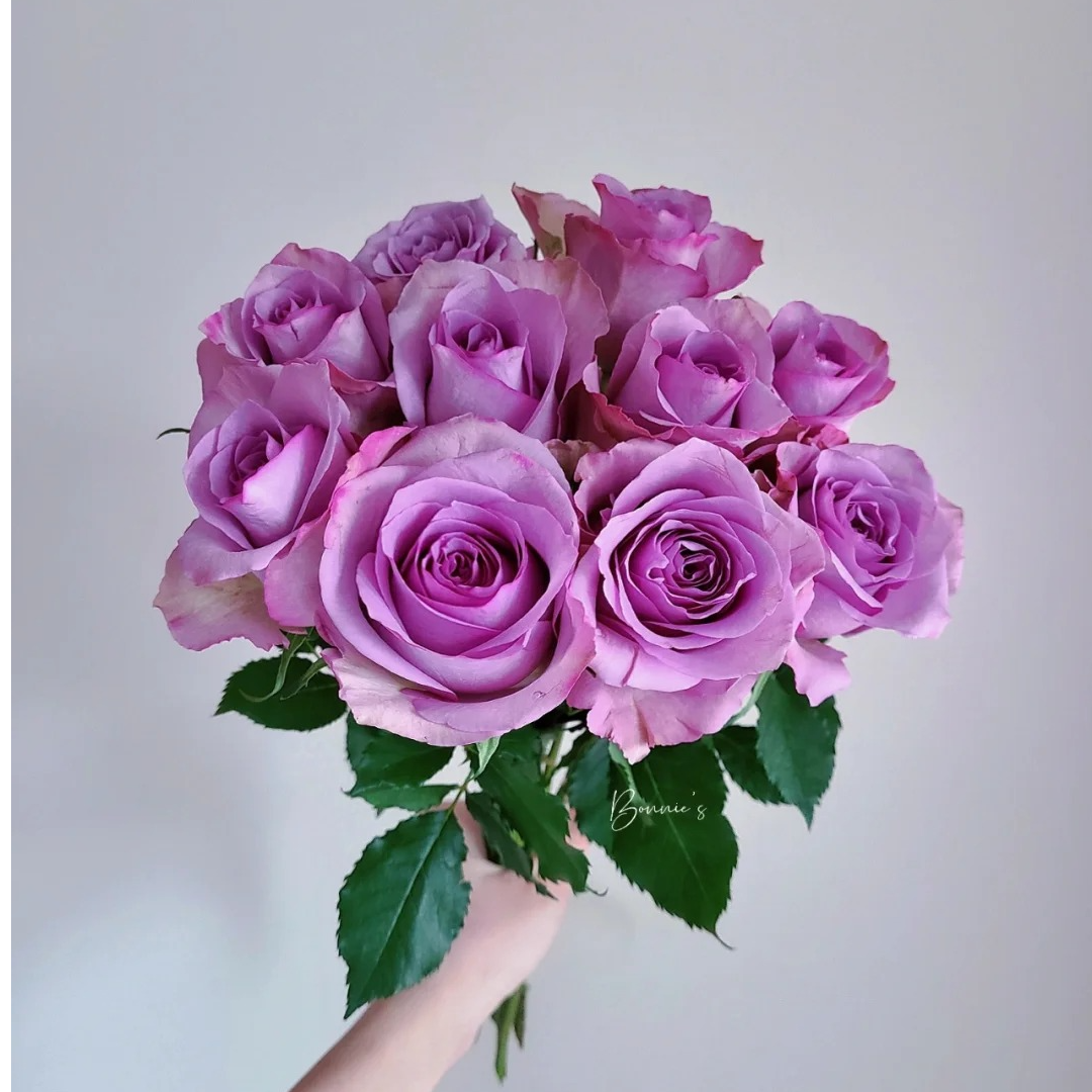 A级紫霞仙子玫瑰【花材两单以上京东空运包邮】云南鲜花源头直发