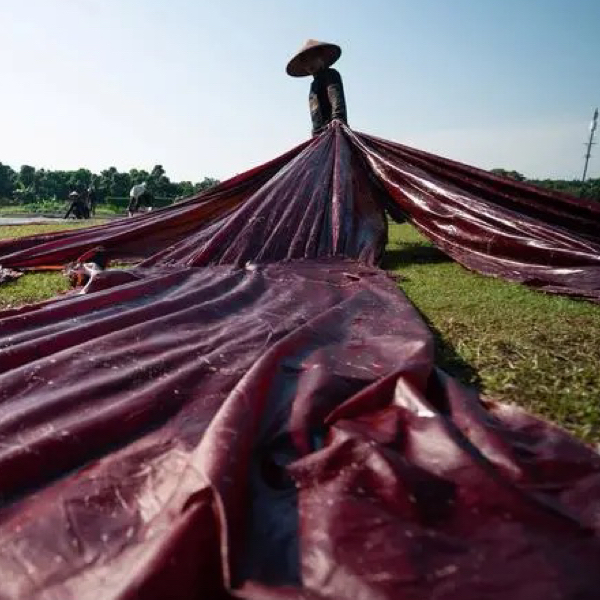 2号0.5米定向链接杭锦古风面料不支持7天无理由 介意勿拍