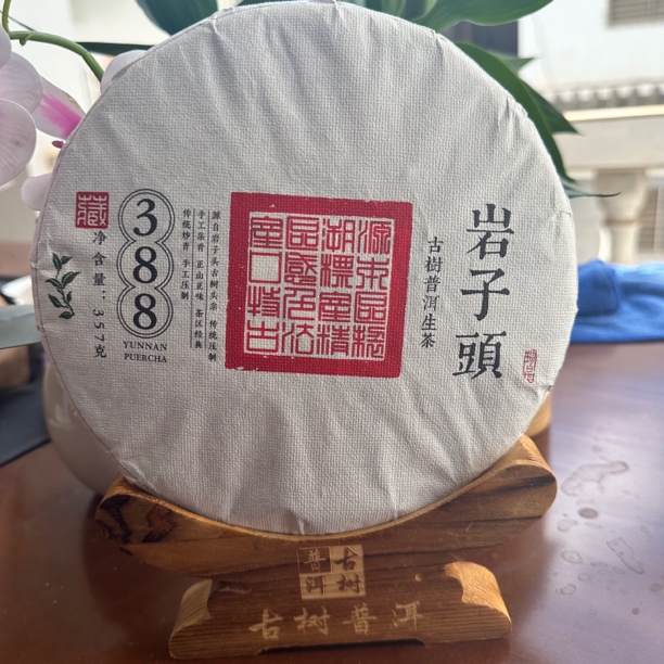 岩子头【经典388】2025年单株级挑采 古树头