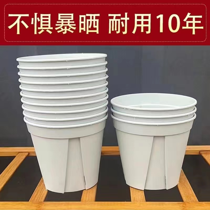 控根盆 营养土 秋海棠专用盆 专用土 青山盆 透气 耐晒 耐用 抗压
