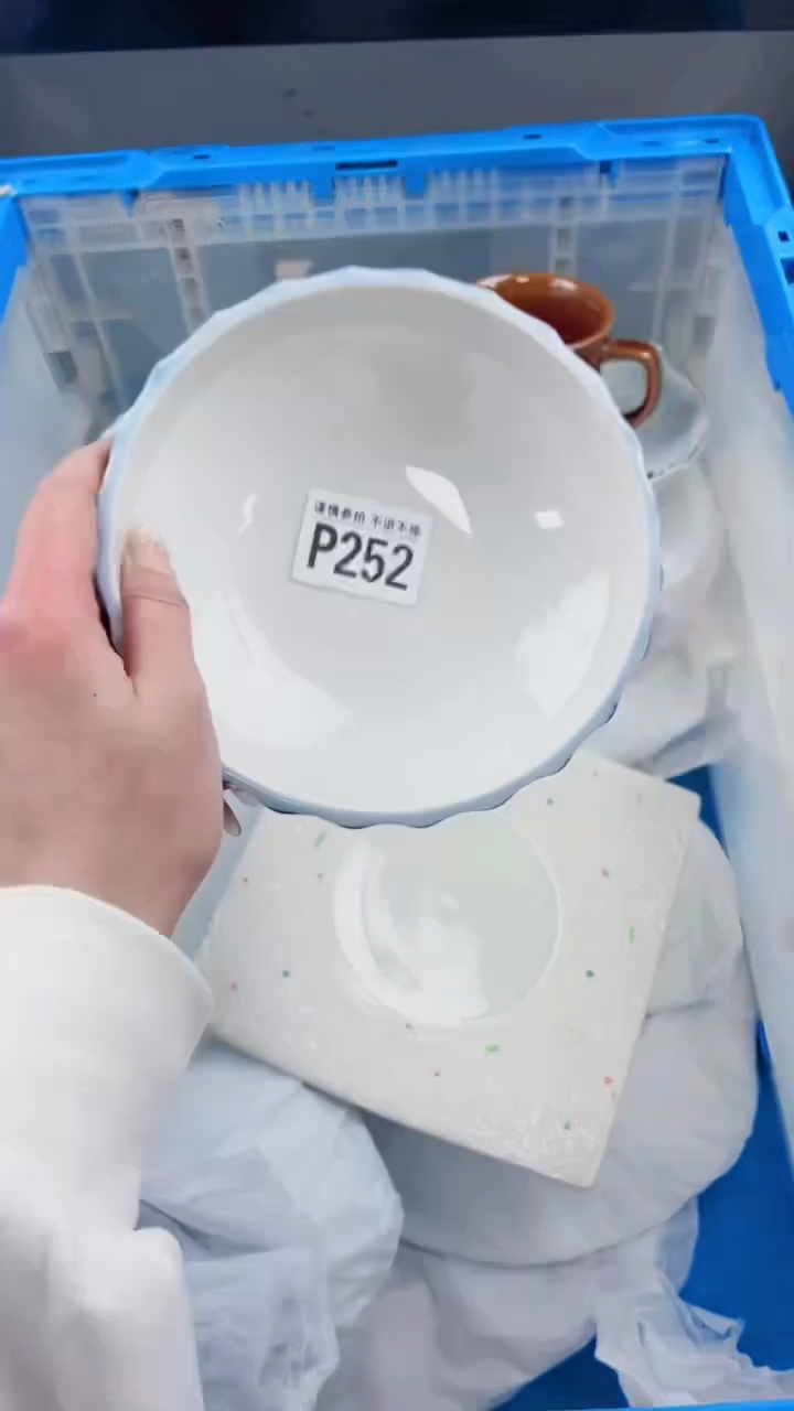 【闪购商品】密胺瓷片P252