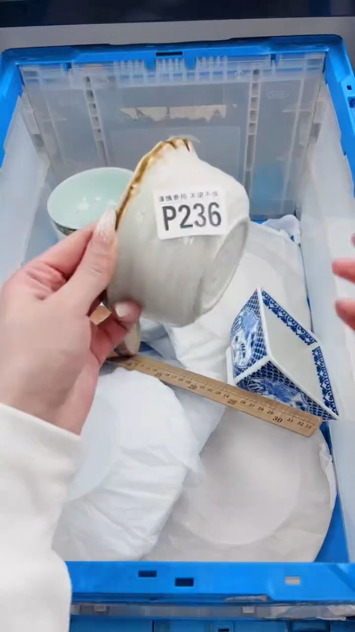 【闪购商品】密胺瓷片P236