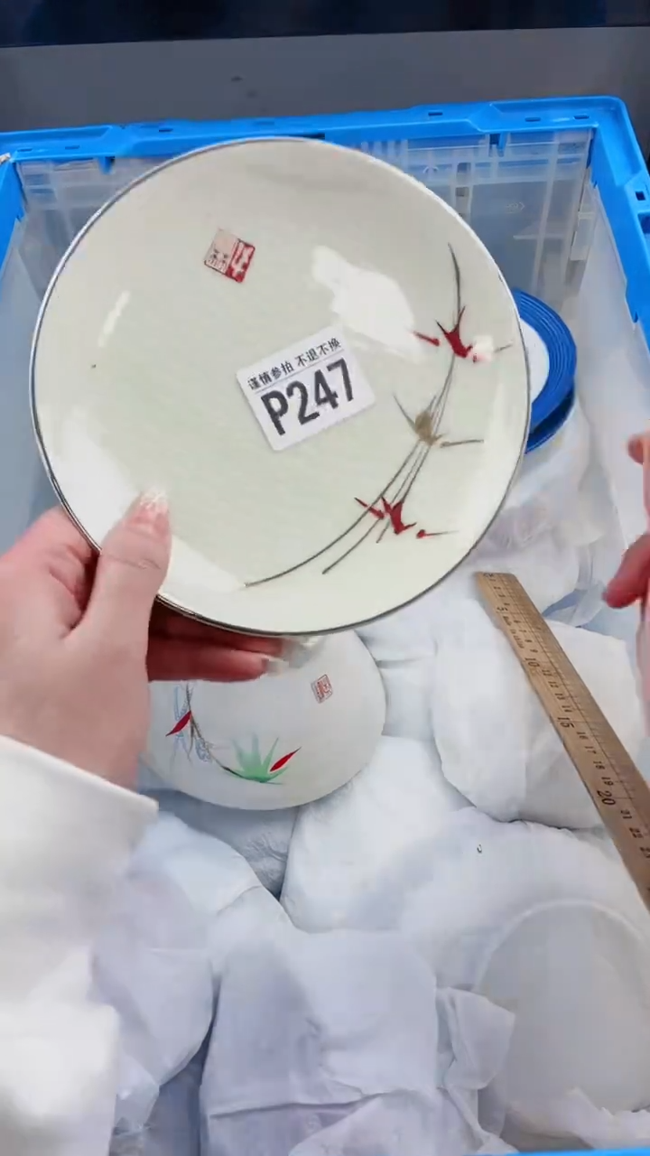 【闪购商品】密胺瓷片P247