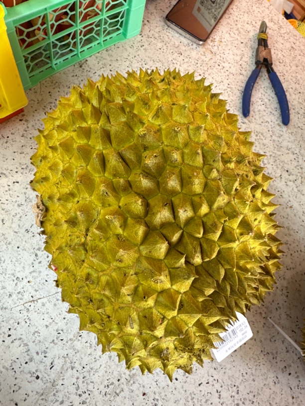 金枕树熟榴莲3520g