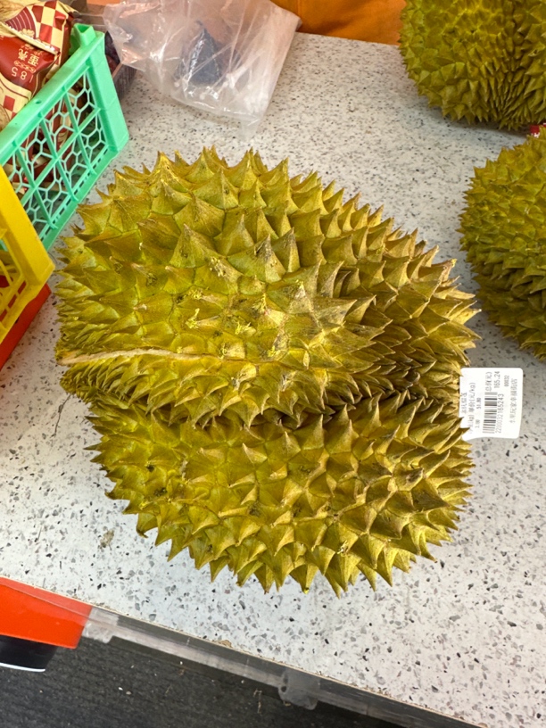 金枕树熟榴莲3190g