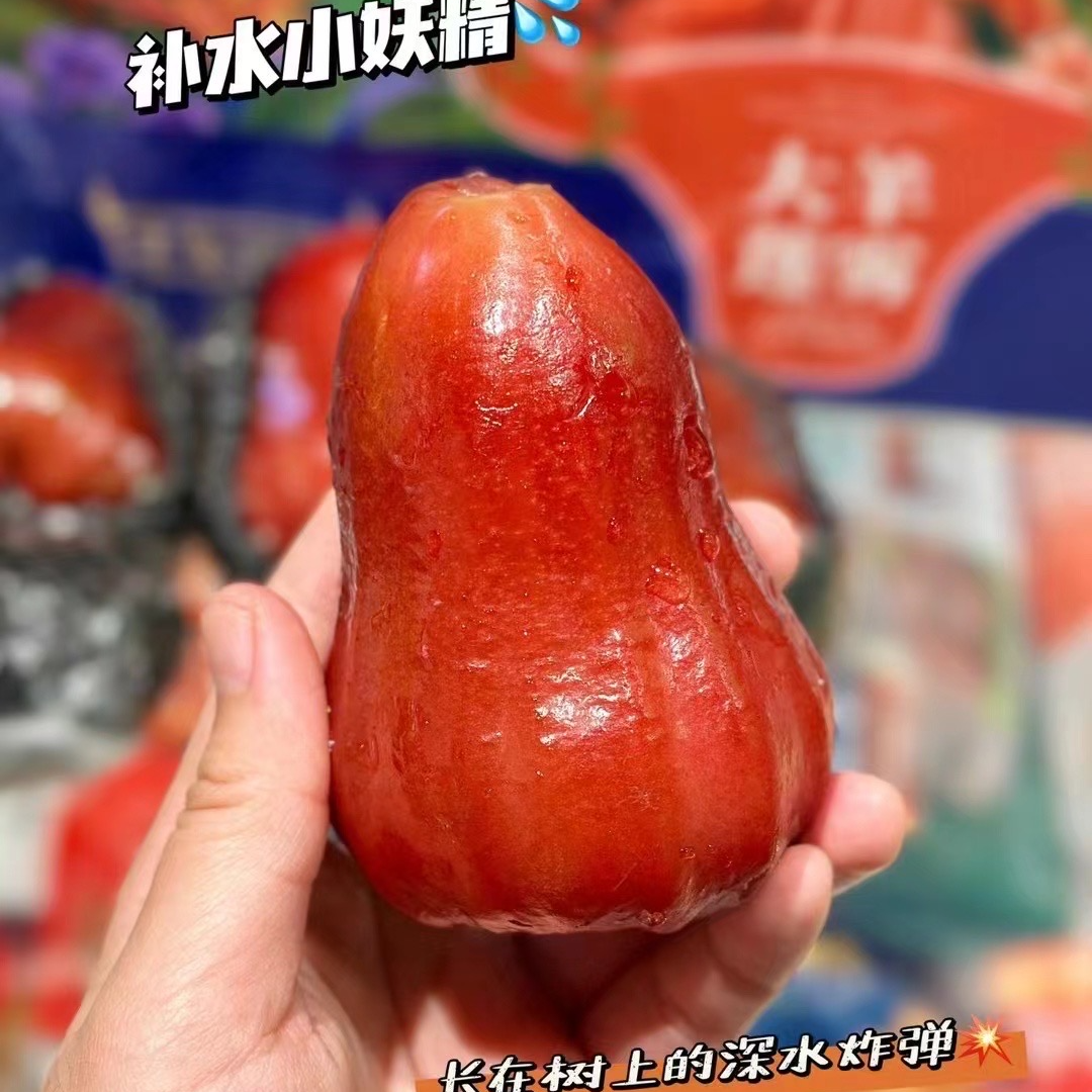 黑金刚莲雾一个