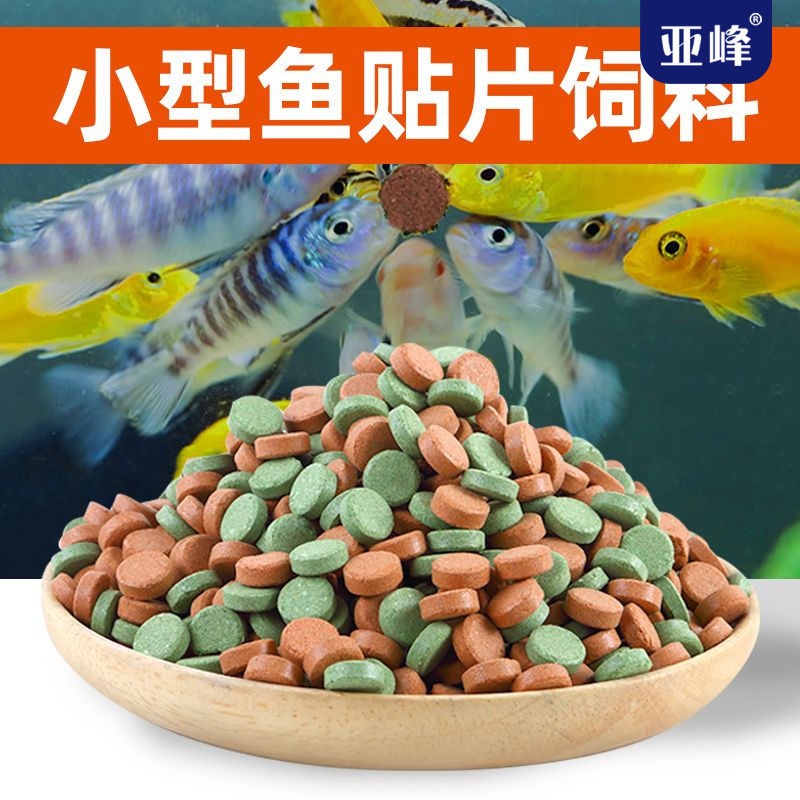 贴片鱼食鱼粮鱼小型鱼孔雀鱼锦鲤鱼金鱼鹦鹉鱼小型鱼食饲料