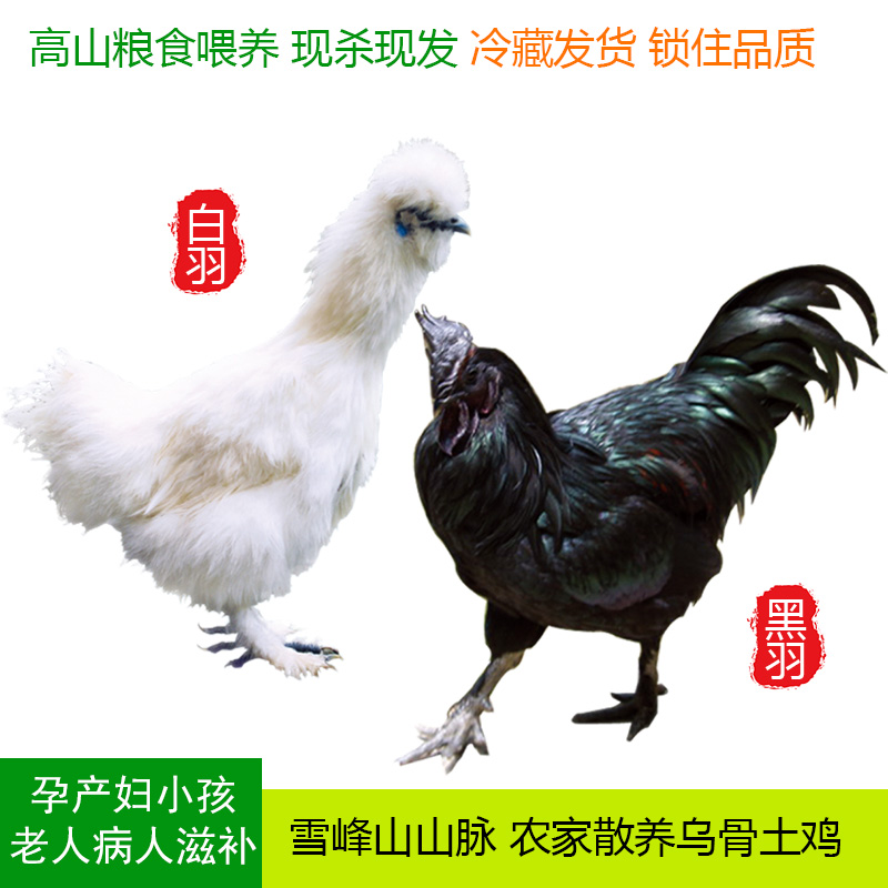 雪峰乌骨鸡农家散养现杀冷链生鲜（以直播为准）