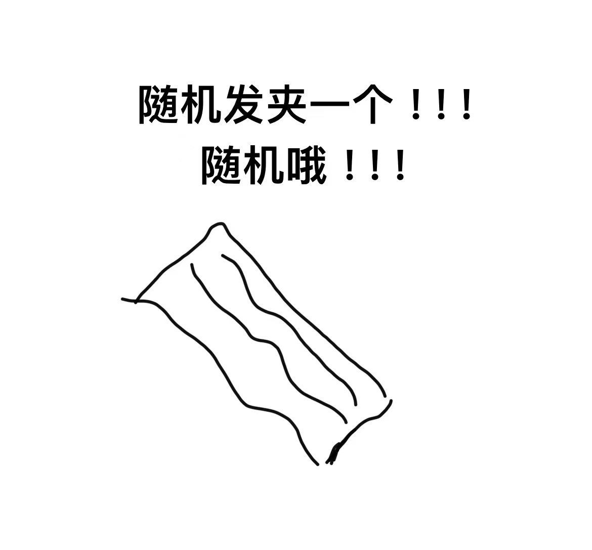 DL乐乐家  精美百搭发夹一个