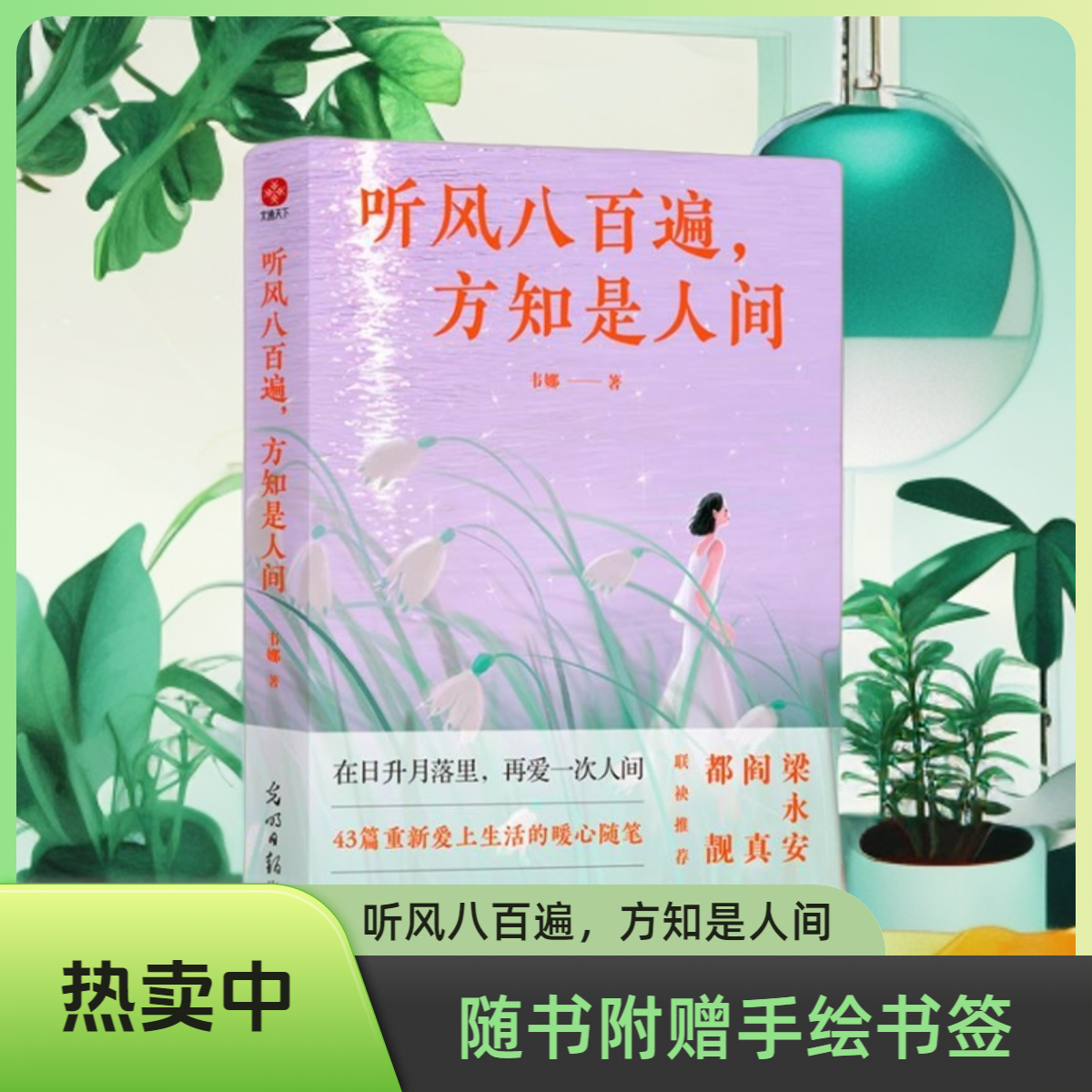 听风八百遍 方知是人间  43篇重新爱上生活的暖心随笔韦娜随笔集