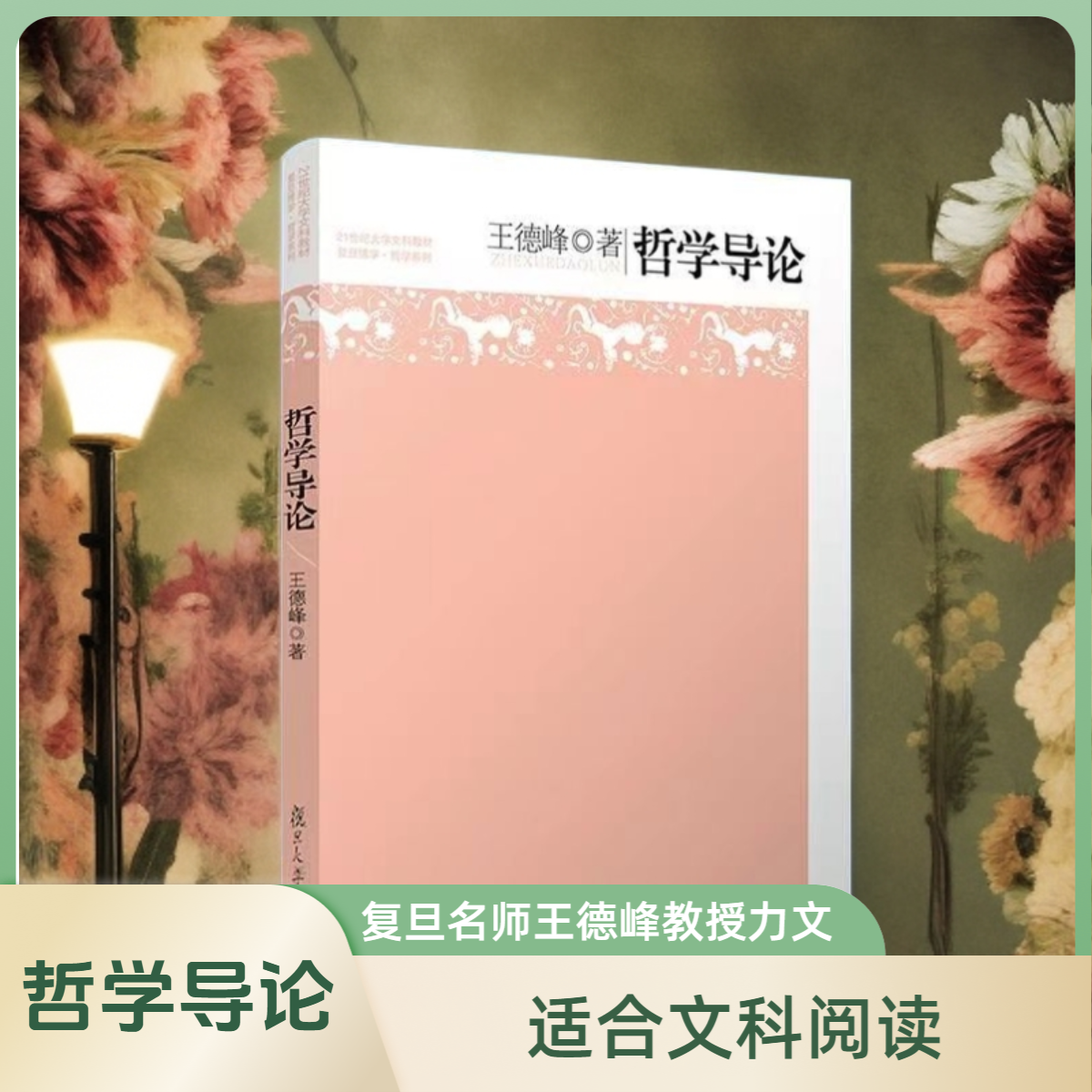 【江南汇】 哲学导论 复旦名师哲学王子王德峰教授力作文科阅读