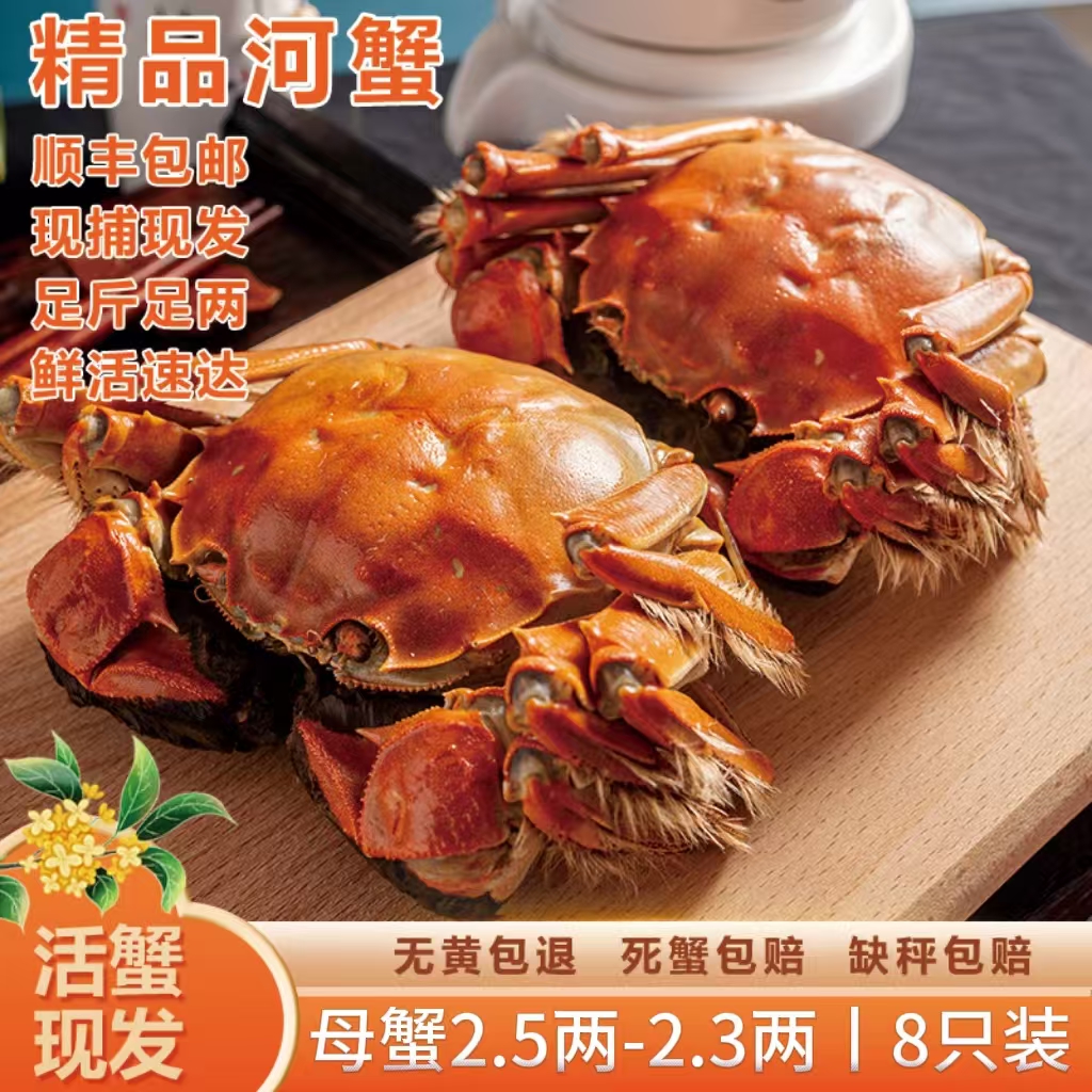 【精品活蟹】苏蟹鲜活河蟹螃蟹母蟹2.5两-2.3两*8只顺丰速发
