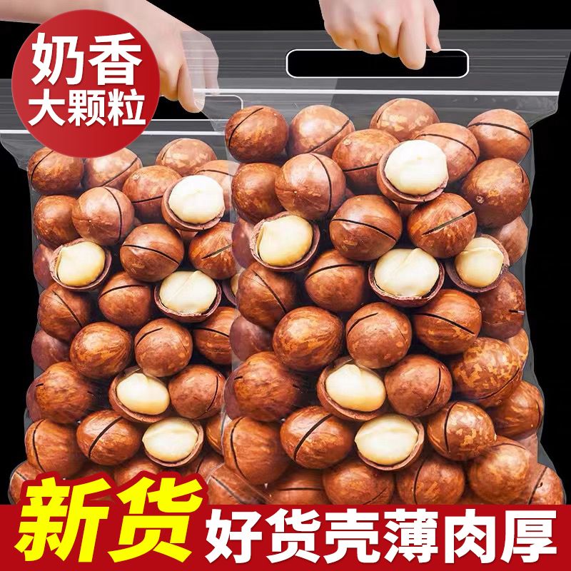 2023年新货大颗粒夏威夷果奶油味20g孕妇整箱批发坚果干果仁零食