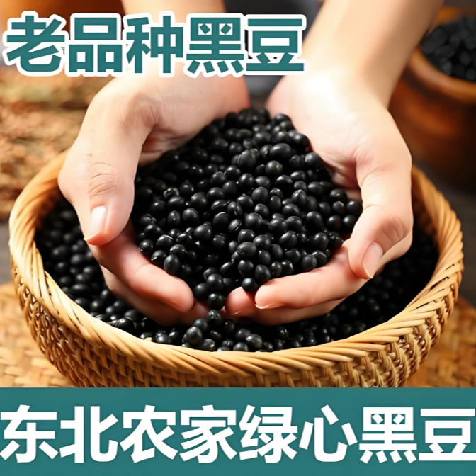 东北绿心黑豆老品种黑豆专用