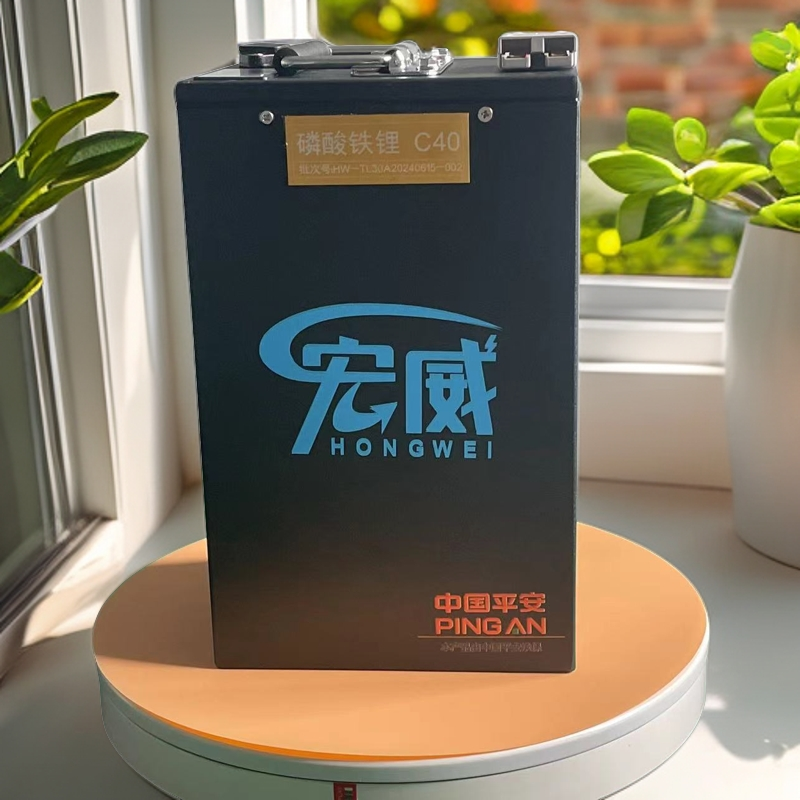 三元锂电池60v50ah 座桶版或脚踏版