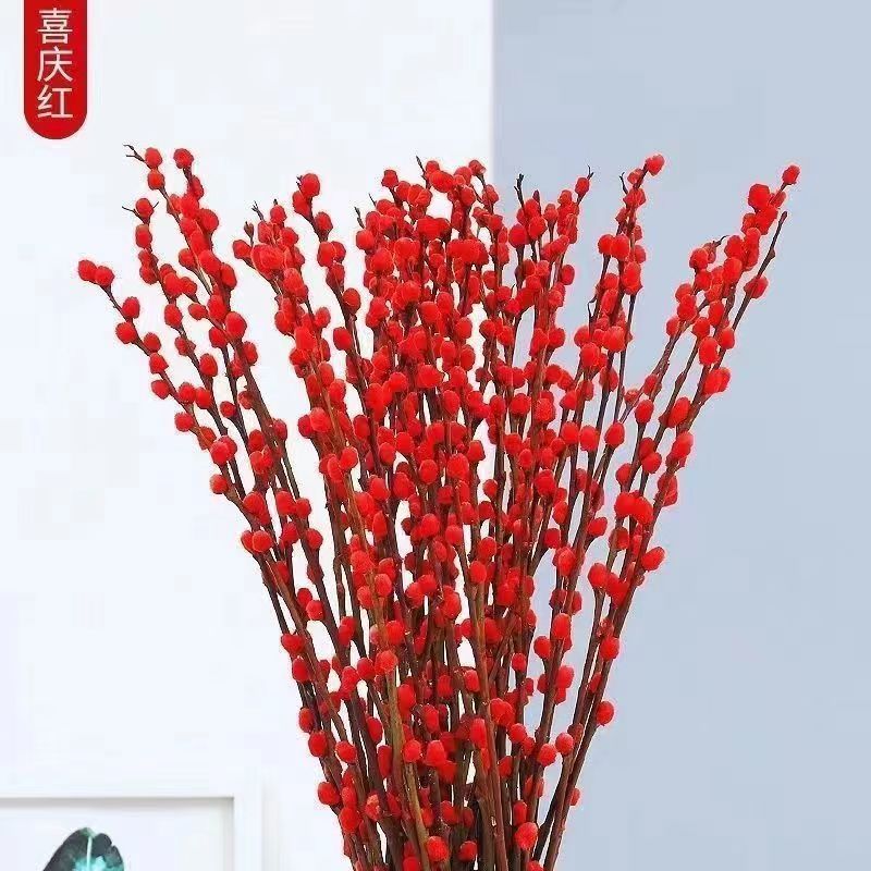银柳真花鲜枝年宵花红色银柳干花室内雪柳花水培植物福桶装饰盆栽
