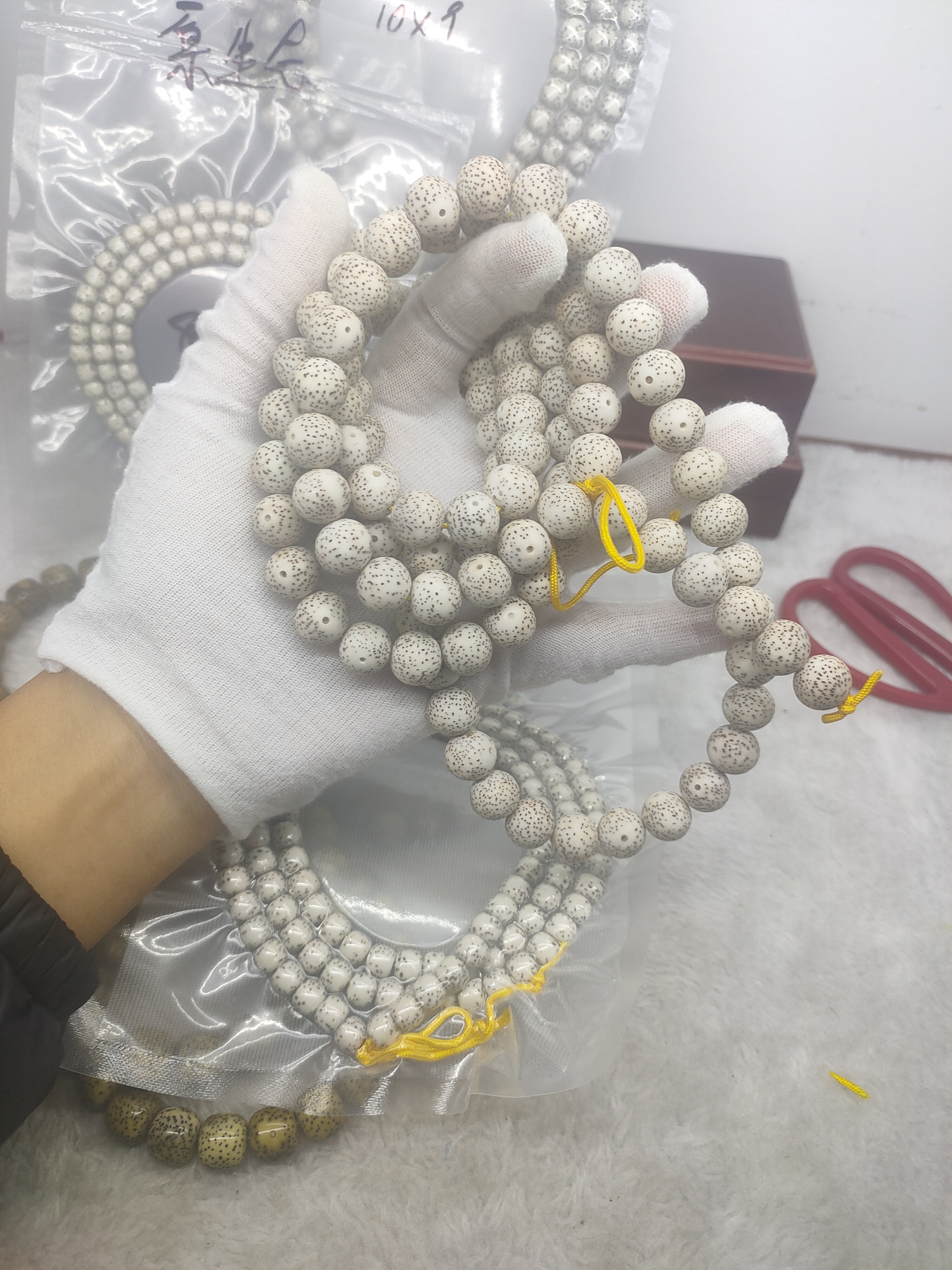 海南原生态星月菩提