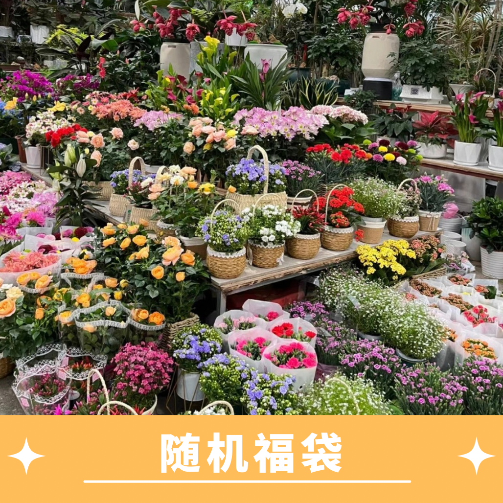 【福袋】随机绿植农资物品福袋/以发货物品实际为准/精品盆景/肥料