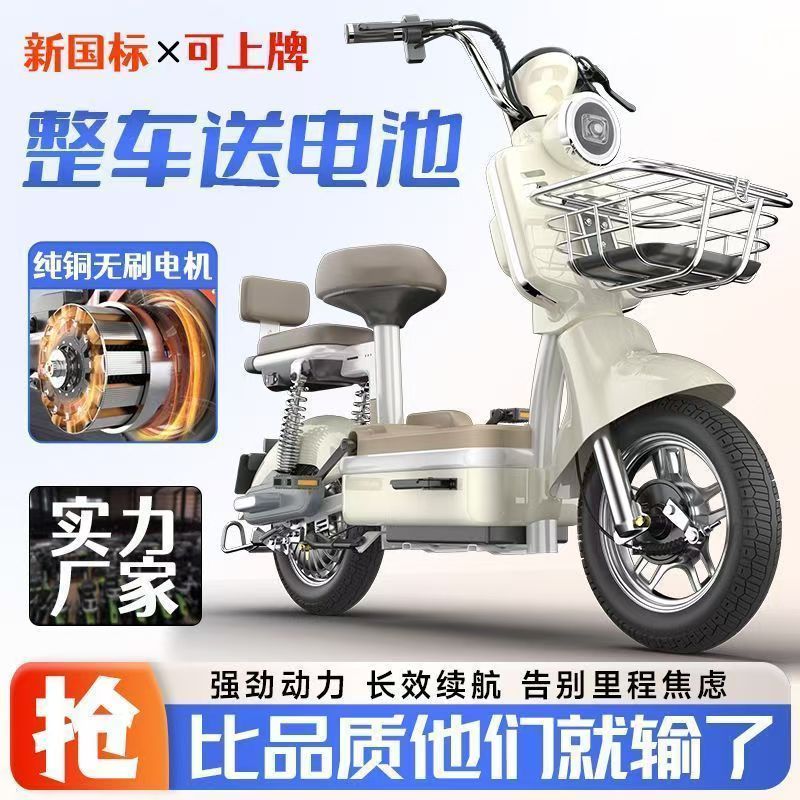 名光电动自行车锂电池电动车48V伏电瓶车成人男女士代步车长跑王