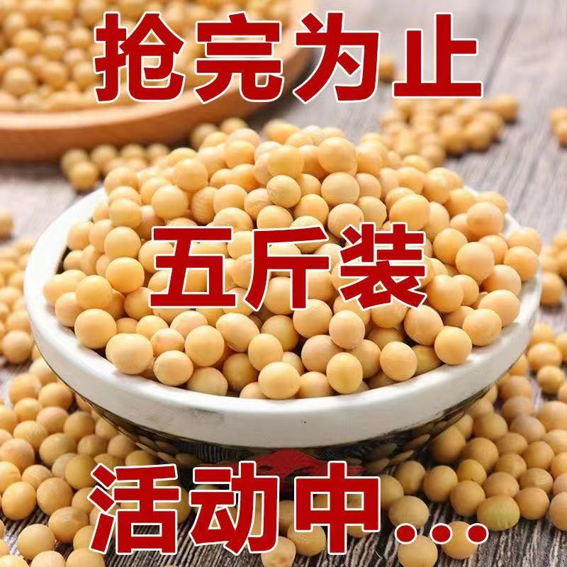 黄豆新货东北大豆农家自种黄豆榨豆浆发豆芽五谷杂粮粗粮颗粒饱满