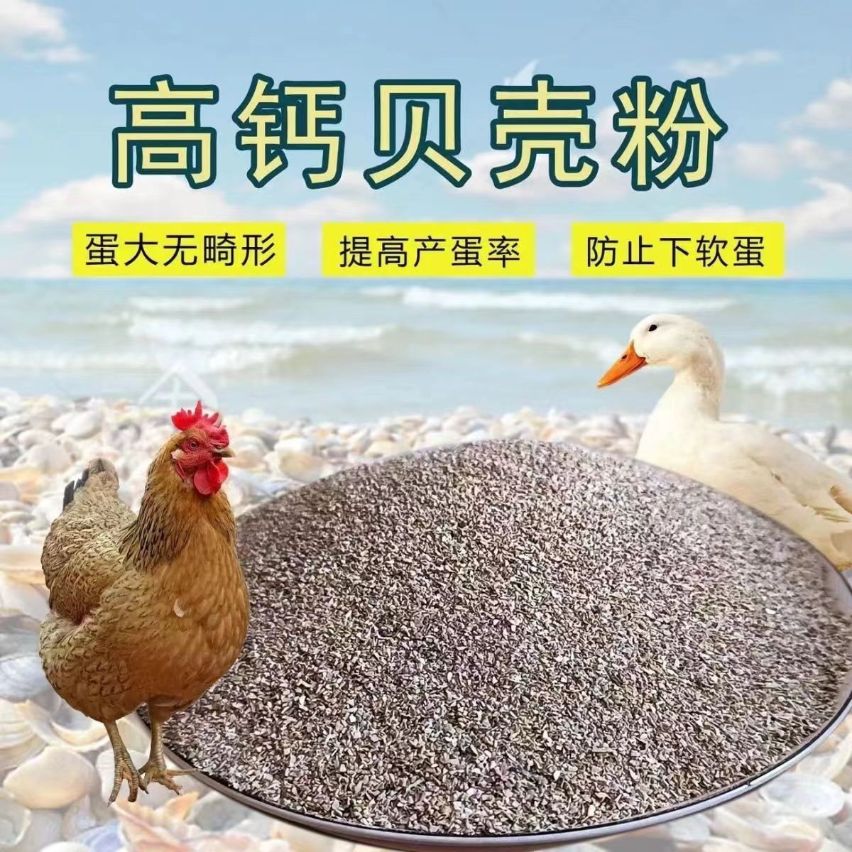 高钙贝壳粉饲料畜禽鸡鸭鹅鸽子鹌鹑补钙饲料添加剂5斤装