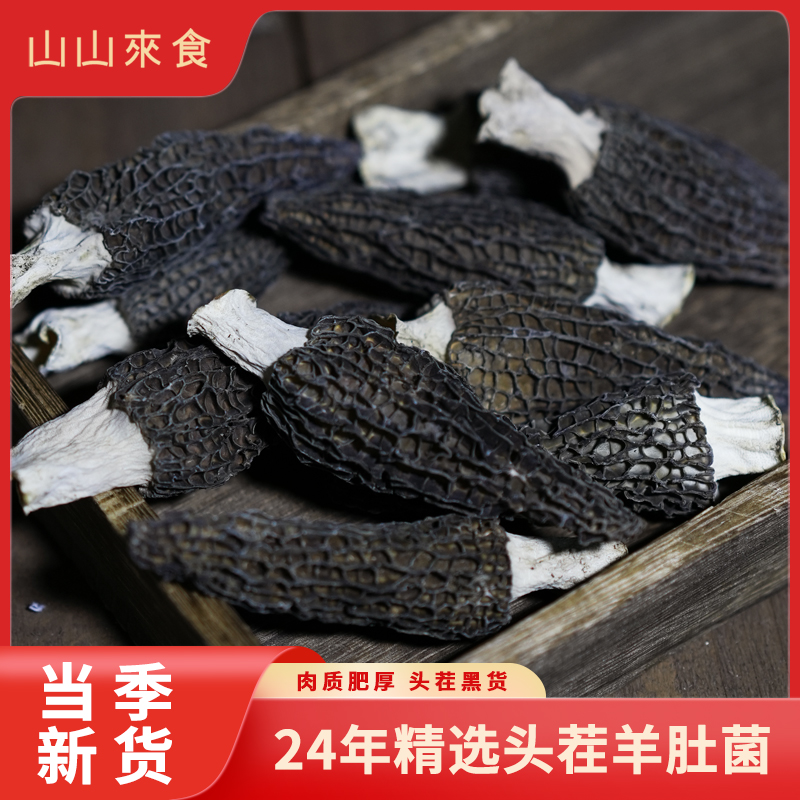 头茬羊肚菌mini小可爱24年新鲜新货羊肚菌原产地严选3-5cm品质