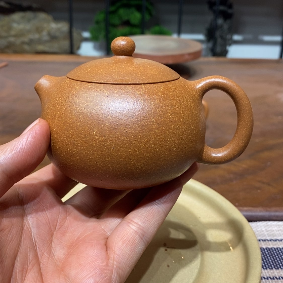 【闪购商品】紫砂茶壶