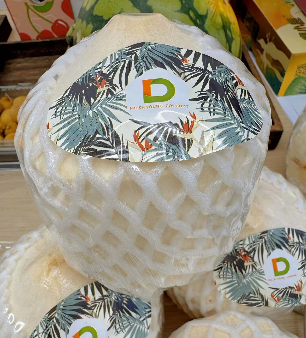 寻小渔 椰子一个装