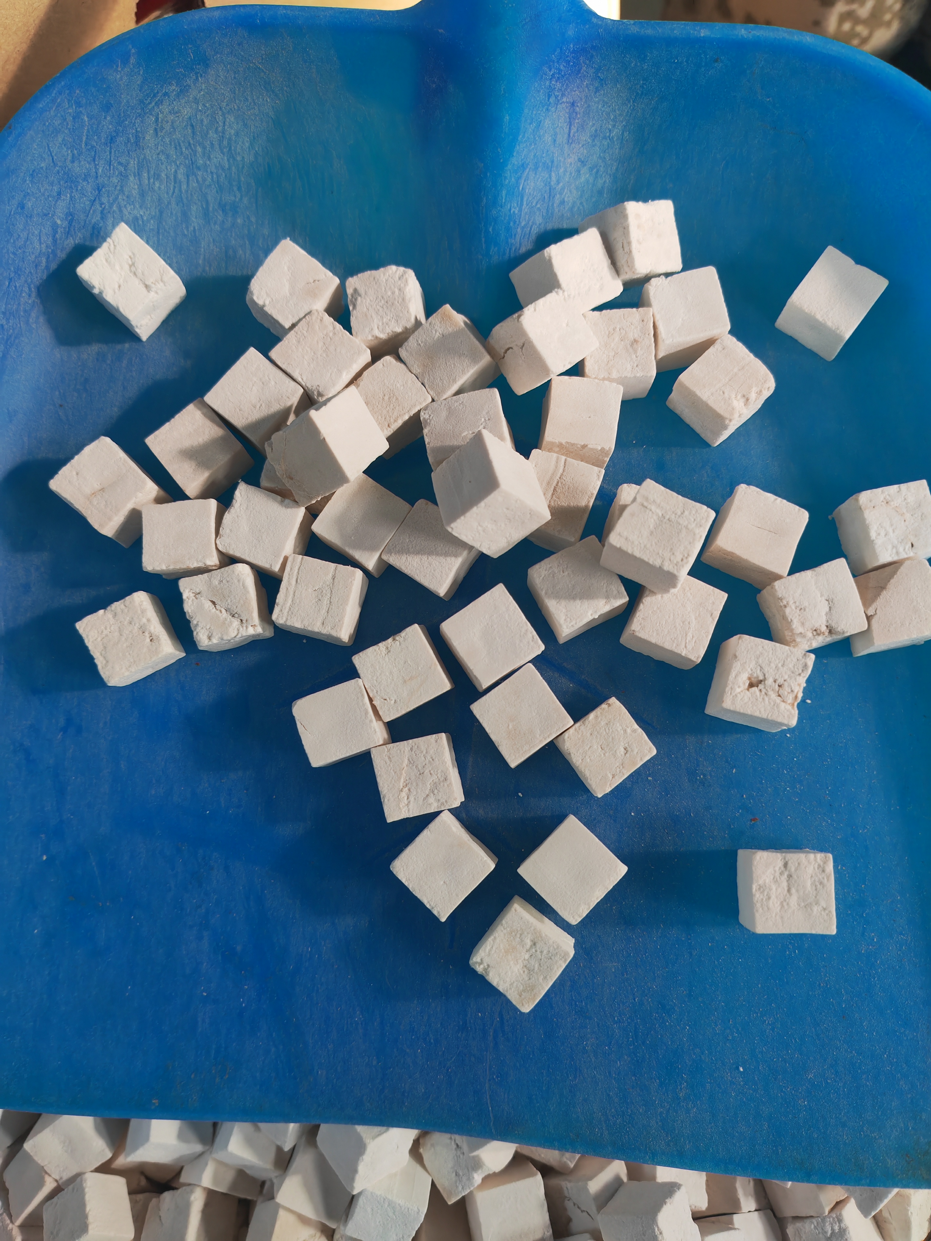 长白山茯苓500克