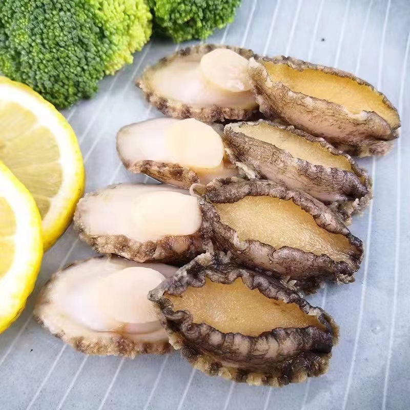 海鲜鲍鱼肉500克约25只净含量顺丰发清蒸鲍鱼鲍鱼红烧肉鲍鱼炖鸡